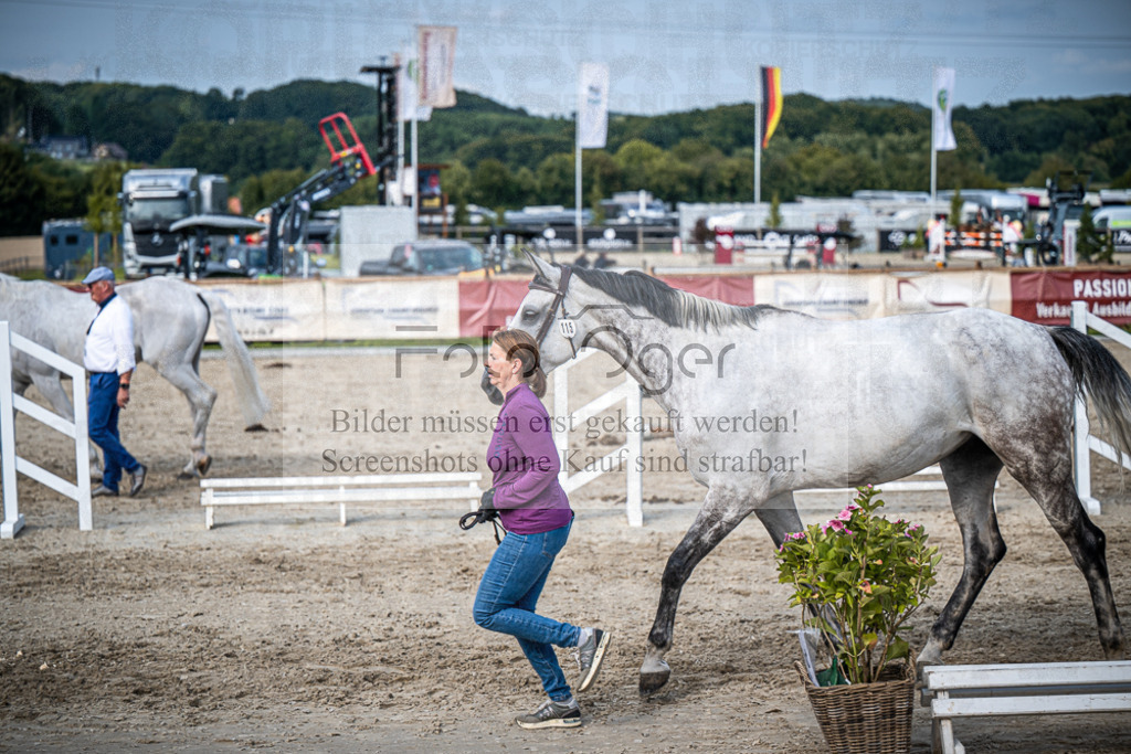 DOS_2996 | Entdecke hochwertige Reitturnierfotos von Foto Oger. Professionell, emotional und authentisch – jetzt Lieblingsmomente im Shop bestellen.Deutschlandweite Turnierfotografie. - Realisiert mit Pictrs.com