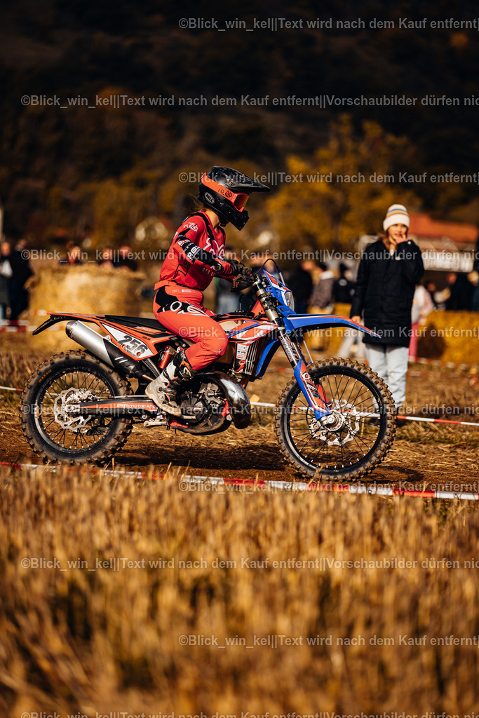 E68A9168 | blick_win_kel