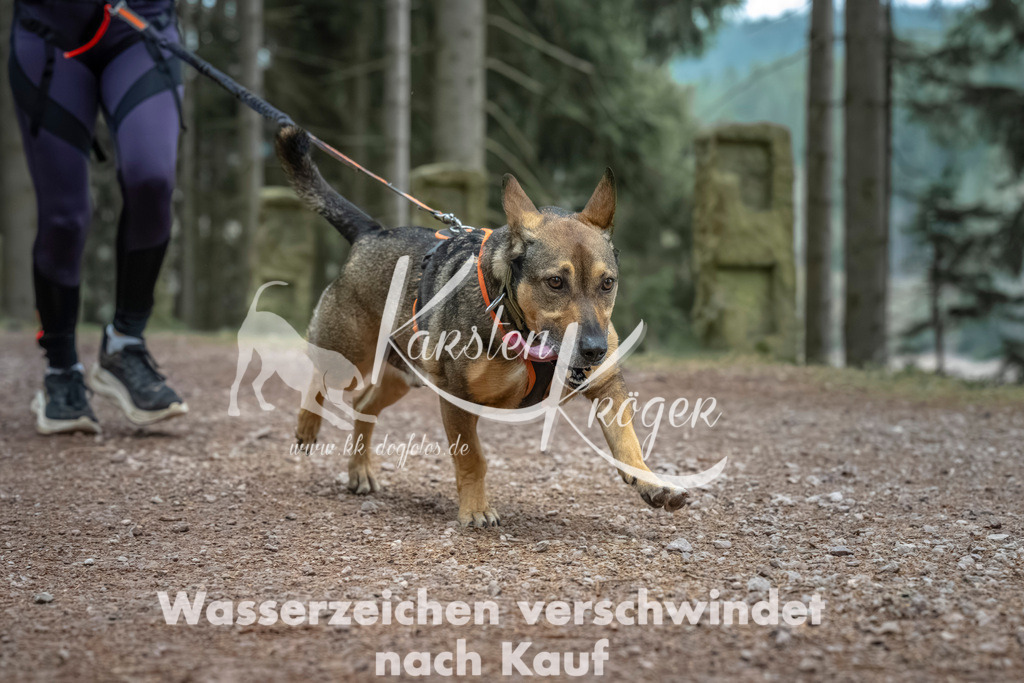 0815_ZZ90785 | kk-dogfotos