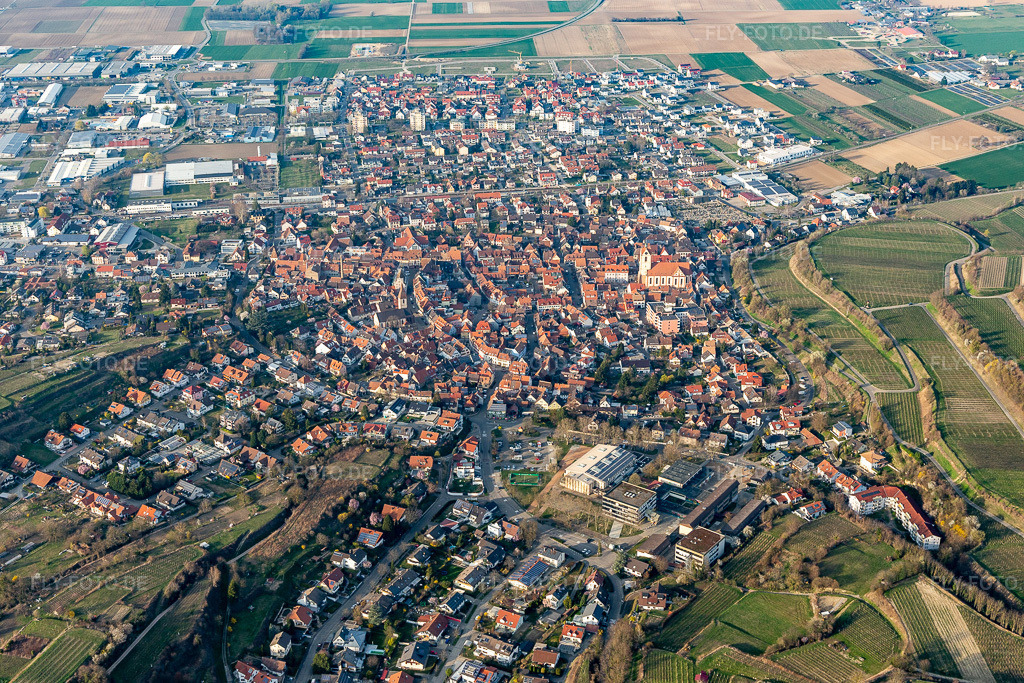 Luftbild: Stadtrand und Außenbezirks- Wohngebiete in Endingen am Kaiserstuhl im Bundesland Baden-Württemberg in Deutschland. Foto: IMG_113130.jpg vom 22.03.2019 durch Werner Riehm/FLY-FOTO.de