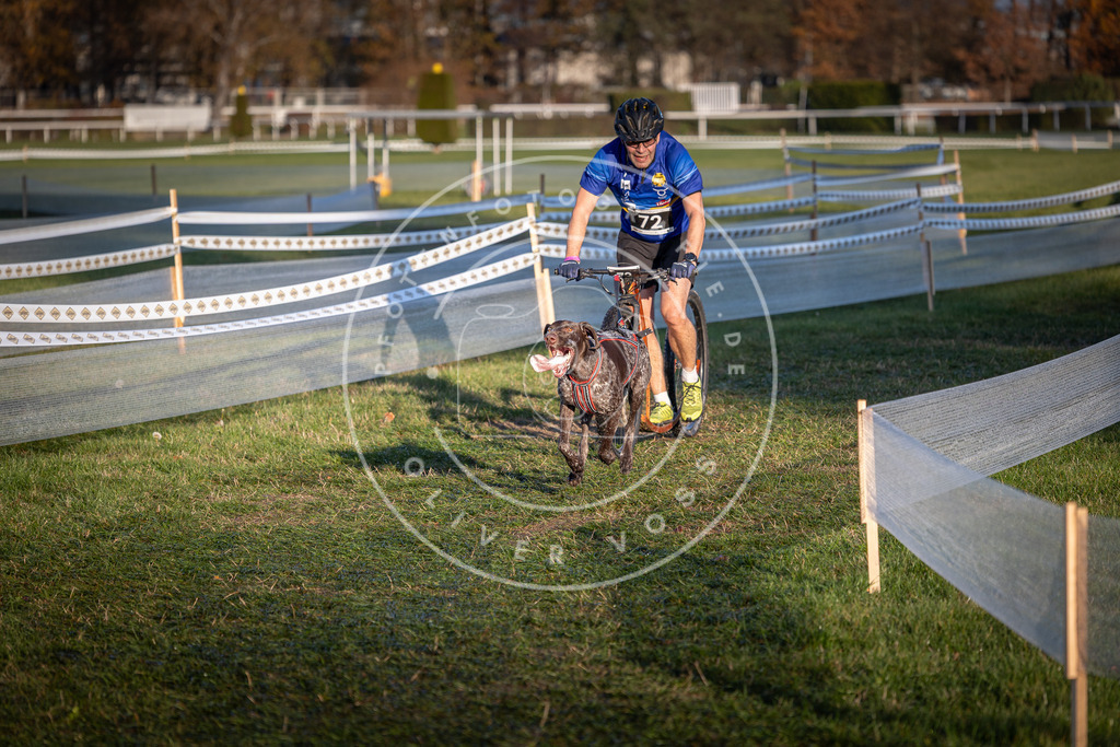 CaniXpix_0L8A3342 | Hundefotografie, Tierfotograf, Pfotenfotografie, Fotoshooting Hund, Hunde Portrait, Hundesport, Hundeportraits, Heideshooting, Hunde, Sportfotograf, Hundefotograf, Turnierhundsport, THS,  - Realisiert mit Pictrs.com