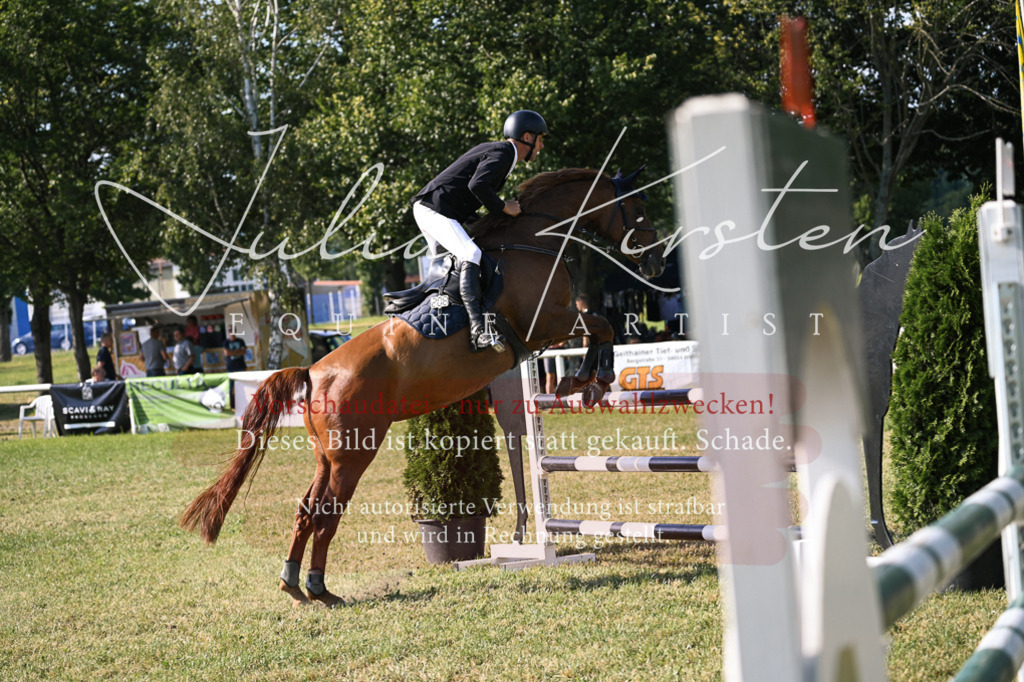 DSC_1473 | Pferde- und Turnierfotografie in Westsachsen. Pferdeportraits, Auftragszeichnungen und intuitive Kunst.