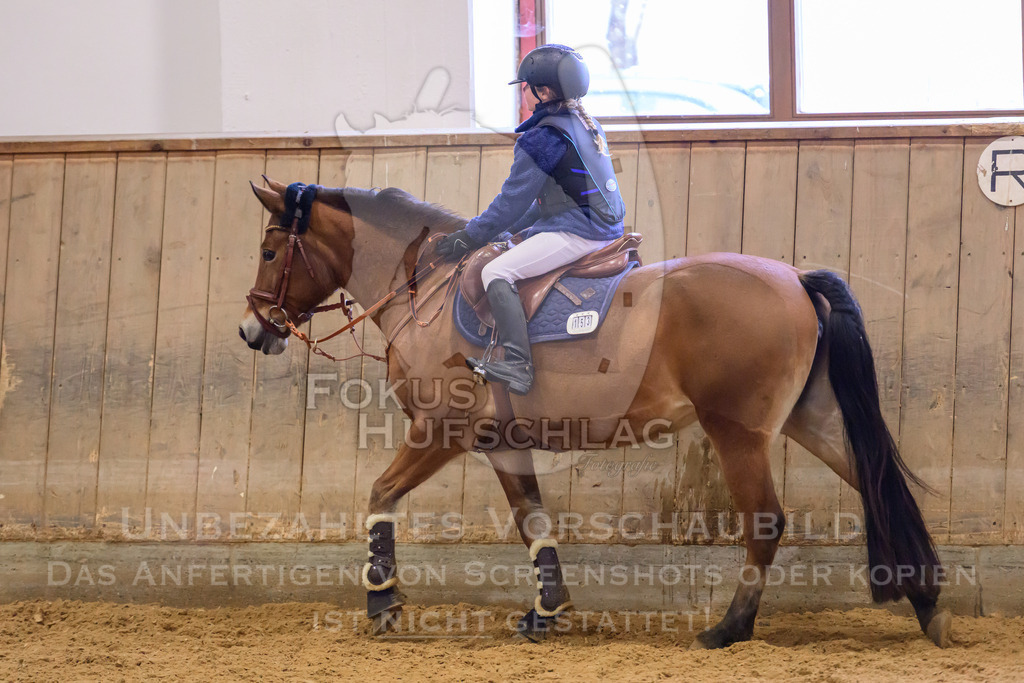 29032026-Schwaiganger-Prfg02-1-0425 | Fokus Hufschlag Fotografie - Realisiert mit Pictrs.com