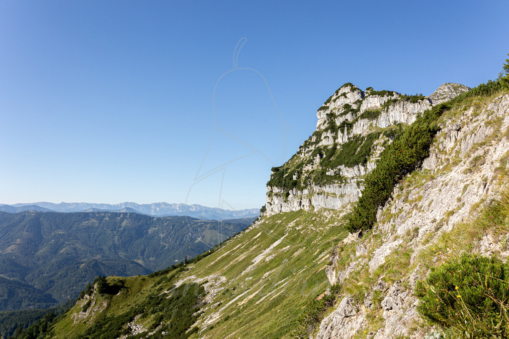 Rauher Kamm | Ihre Fotografin im Lungau, ihre Fotografin im Mostviertel, Wandbilder Onlineshop, Imagefotos für Ihr Unternehmen,  - Realisiert mit Pictrs.com