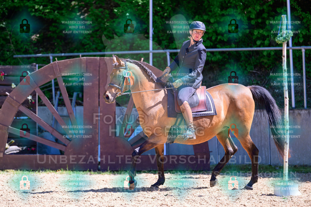 02052026-Giesenbach-01-Stiltrail-0393 | Fokus Hufschlag Fotografie - Realisiert mit Pictrs.com