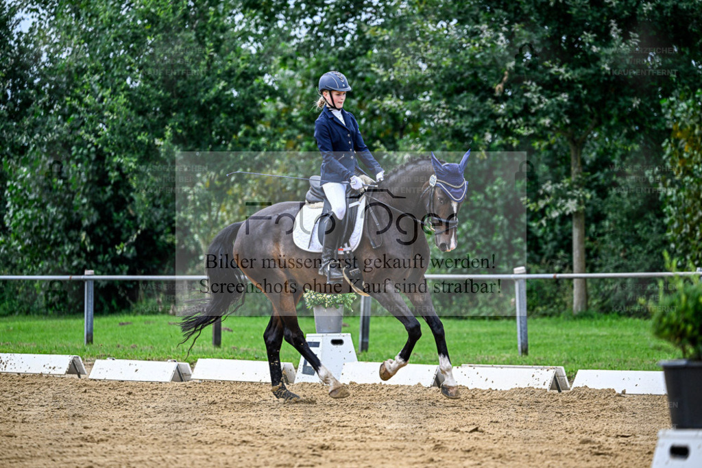 Reitturnier Hasbergen | Entdecke hochwertige Reitturnierfotos von Foto Oger. Professionell, emotional und authentisch – jetzt Lieblingsmomente im Shop bestellen. - Realisiert mit Pictrs.com