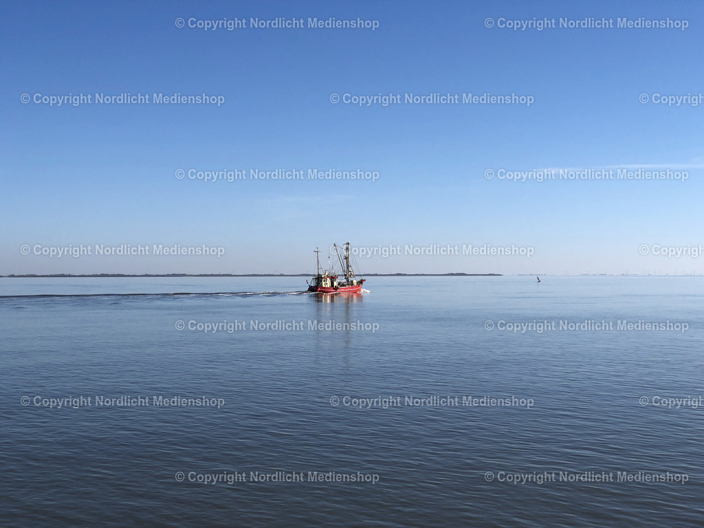 Kutter vor Pellworm | Krabbenkutter vor der Nordseeküste