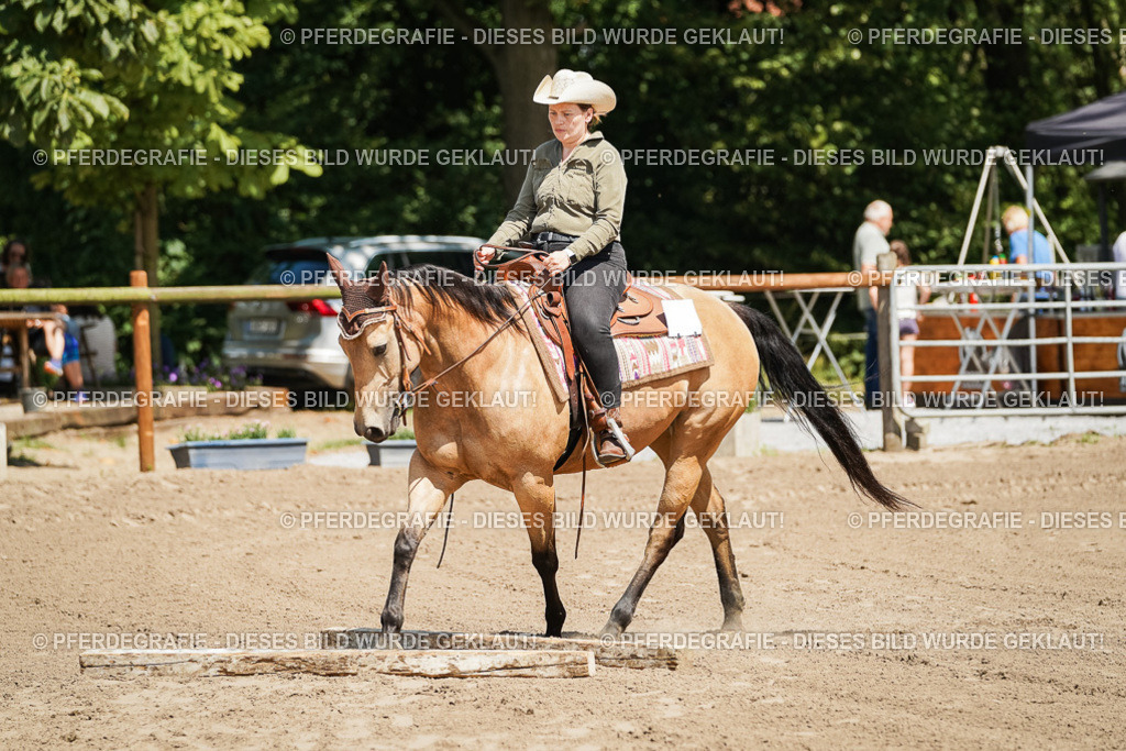 DSC06695 | Pferdegrafie