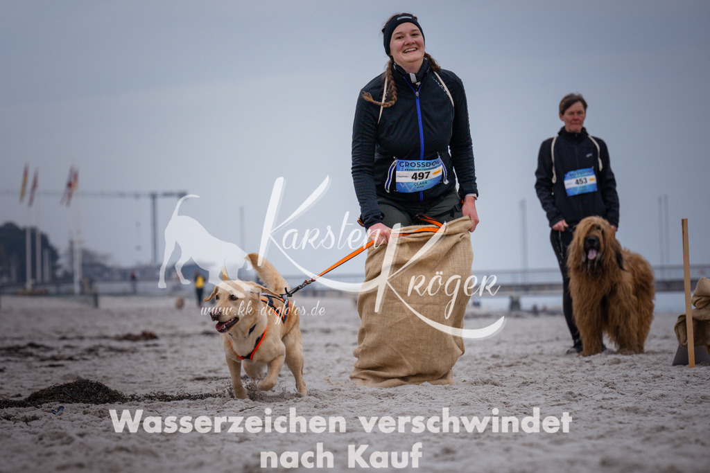 1213_ZZ92663 | kk-dogfotos