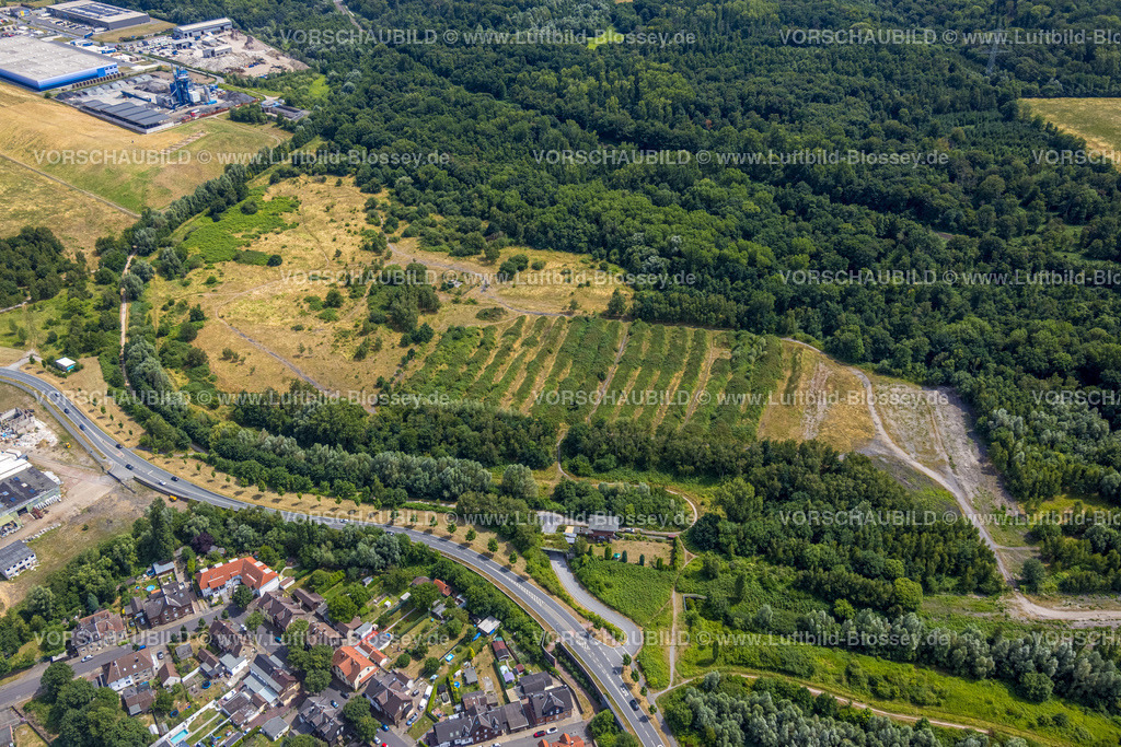 Castrop-Rauxel220706401 | Luftbild, Wiesen und Felder der ehemaligen Zeche Victor Schacht 6, Baumallee Klöcknerstraße, Ickern, Castrop-Rauxel, Ruhrgebiet, Nordrhein-Westfalen, Deutschland