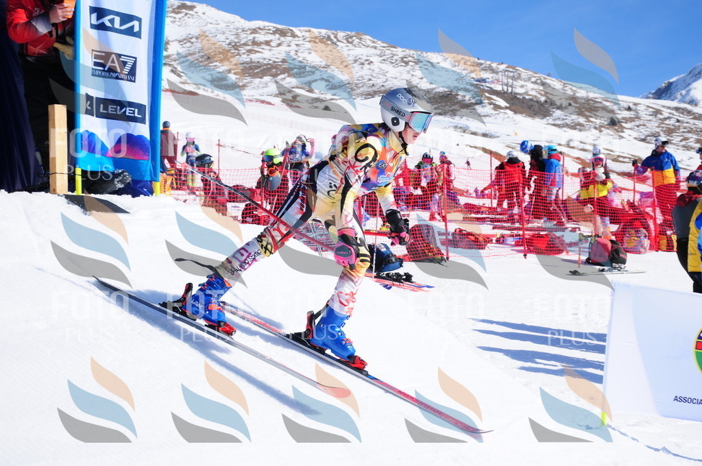 DSC_3745 | holidayphoto