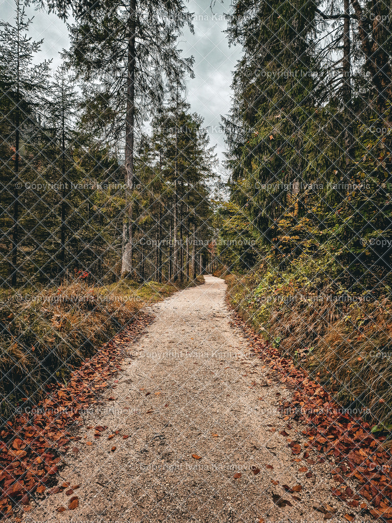 Berchtesgaden | ikphotography - Realisiert mit Pictrs.com