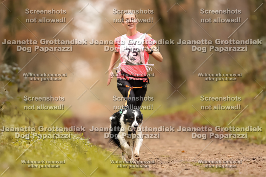 Dog Paparazzi - Speedhunter Mannheim  2025-216 | Dog Paparazzi Jeanette Grottendiek Fotografie & Videografie