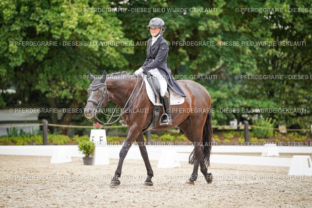 DSC07159 | Pferdegrafie