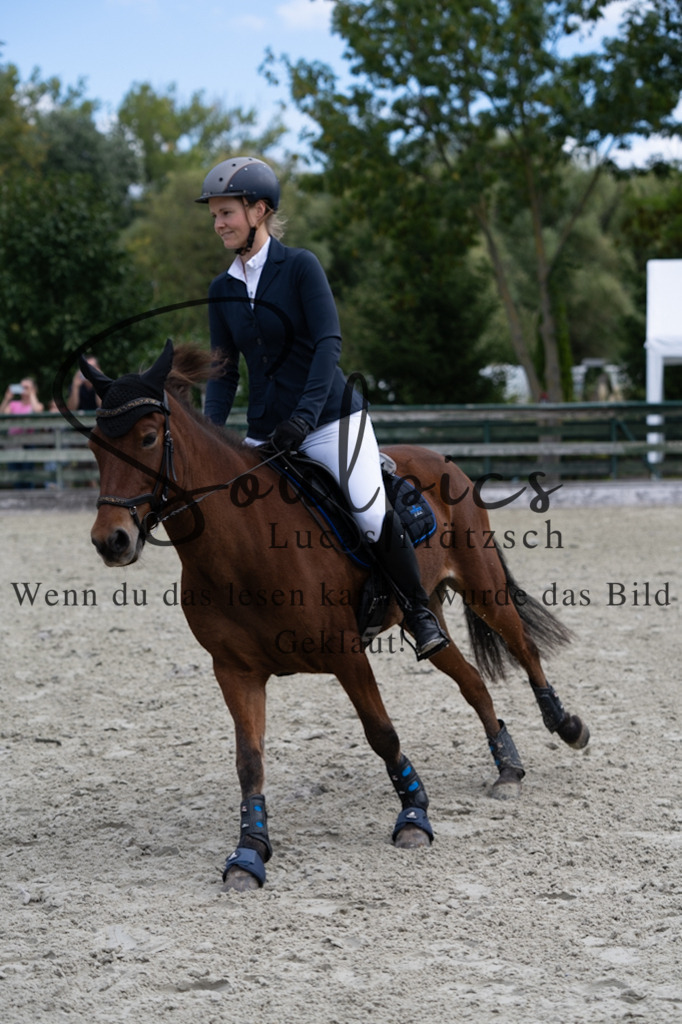 A7V07153 | Pferdefotograf