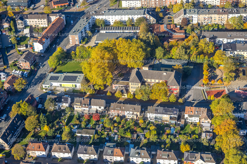Hamm251001550 | Luftbild, Harkortschule mit herbstlichen Bäumen, neues Lehrschwimmbecken mit Solardach, hinten Kita Kidron, Mitte, Hamm, Ruhrgebiet, Nordrhein-Westfalen, Deutschland