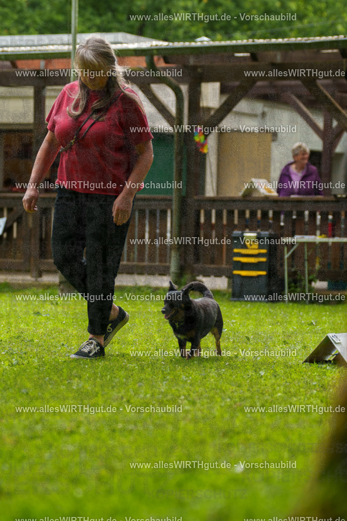 @allesWIRTHgut_Tierfotografie - www.allesWIRTHgut.de - 090348-7R506478 | Professionelle Tierfotografie in Mönchengladbach von Daniel Wirth (allesWIRTHgut). Liebevolle & natürliche Bilder von Hunden & Katzen für unvergessliche Erinnerungen.