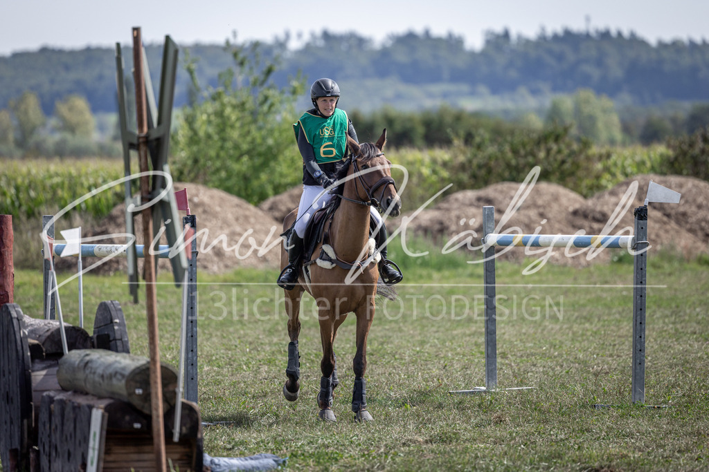 20250907-_3LI0873 | Tierfotografie Pferde, Hunde, Katzen, Haustiere.
Turnierfotografie Reitturniere, Reiten, Springreiten, Dressur in Hanau, dem Main-Kinzig-Kreis und dem Rhein-Main- Gebiet um Frankfurt