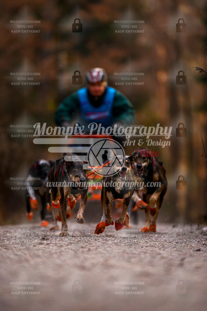 MompixPhotography_DM_AKDM_SO_2025_Wagen-9 | PayLife