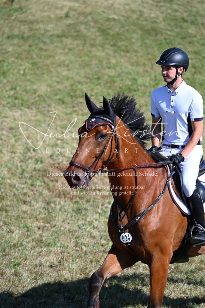 DSC_1917 | Pferde- und Turnierfotografie in Westsachsen. Pferdeportraits, Auftragszeichnungen und intuitive Kunst.