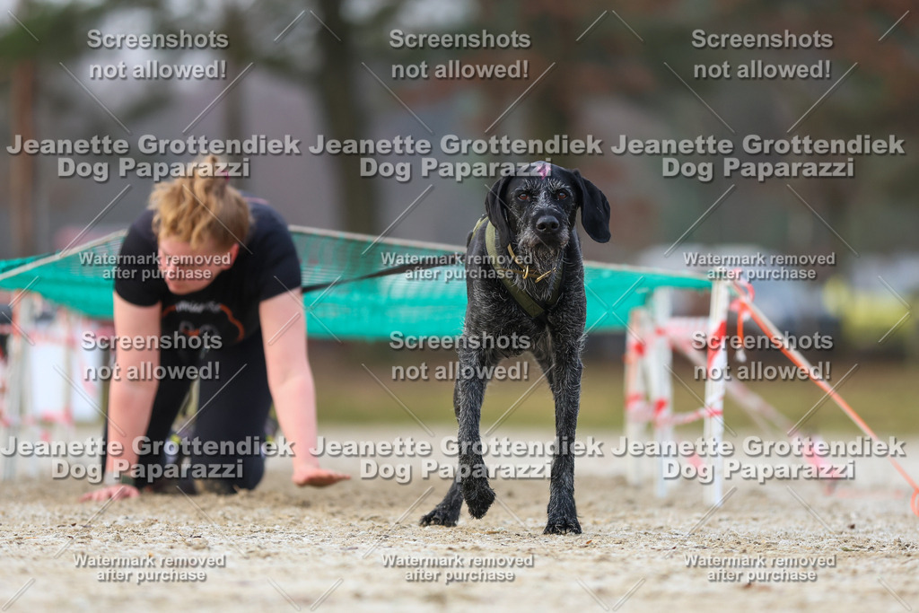 Dog Paparazzi - Strongdog North Mrz26-3703 | Dog Paparazzi Jeanette Grottendiek Fotografie & Videografie - Realisiert mit Pictrs.com