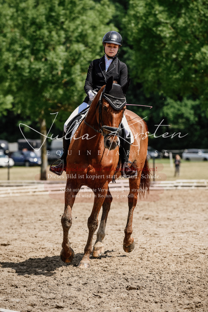 DSC_1389 | Pferde- und Turnierfotografie in Westsachsen. Pferdeportraits, Auftragszeichnungen und intuitive Kunst.
