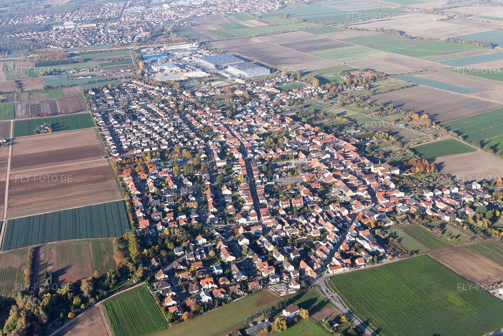 Luftbild: landwirtschaftlichen Feldern und Nutzflächen in Fußgönheim im Bundesland Rheinland-Pfalz in Deutschland. Foto: IMG_095567.jpg vom 30.10.2016 durch Werner Riehm/FLY-FOTO.de
