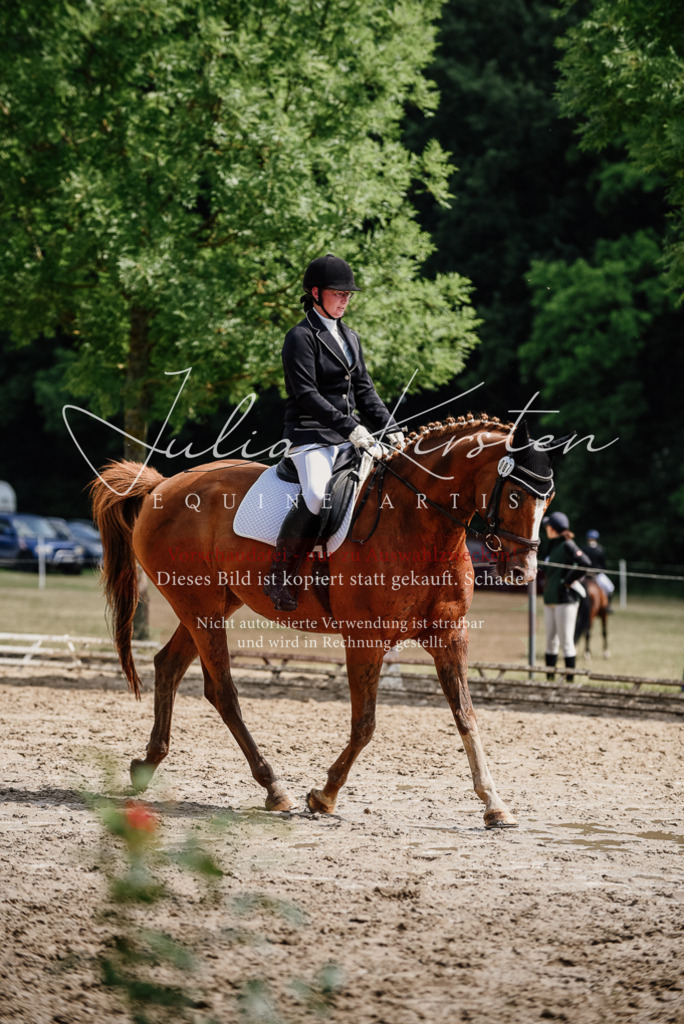 DSC_0720 | Pferde- und Turnierfotografie in Westsachsen. Pferdeportraits, Auftragszeichnungen und intuitive Kunst.