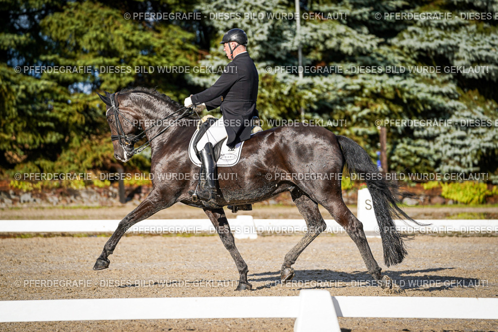 DSC00735 | Pferdegrafie