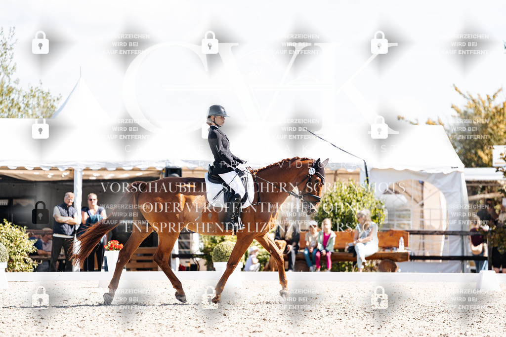CK902881 | Turnierfotografie Pferdefotografie Trier Rheinland-Pfalz Pferdesport Reitsport Tierfotografie Sportfotografie Pferdevideo Pferdevideografie Equestrianvideography equestrianphotography  - Realisiert mit Pictrs.com