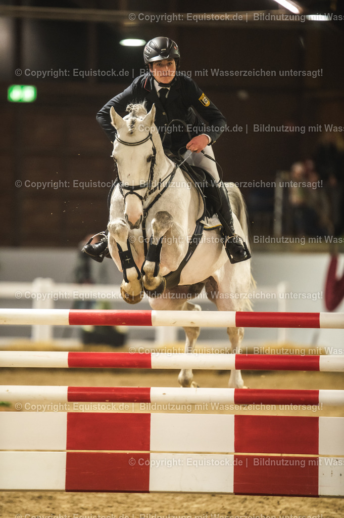 20240302_Hengstvorstellung_Marbach_TOMsPiC_1406 | equistock