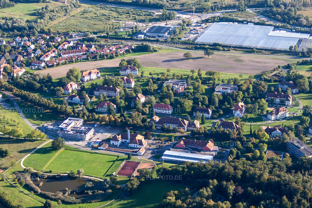 Luftbild: Berufsschule IB Medizinische Akademie - Schule für Ergotherapie im Ortsteil Waldsiedlung im Ortsteil Lindenbühl in Reichenau im Bundesland Baden-Württemberg in Deutschland. Foto: IMG_71619.jpg vom 30.08.2014 durch Werner Riehm/FLY-FOTO.de