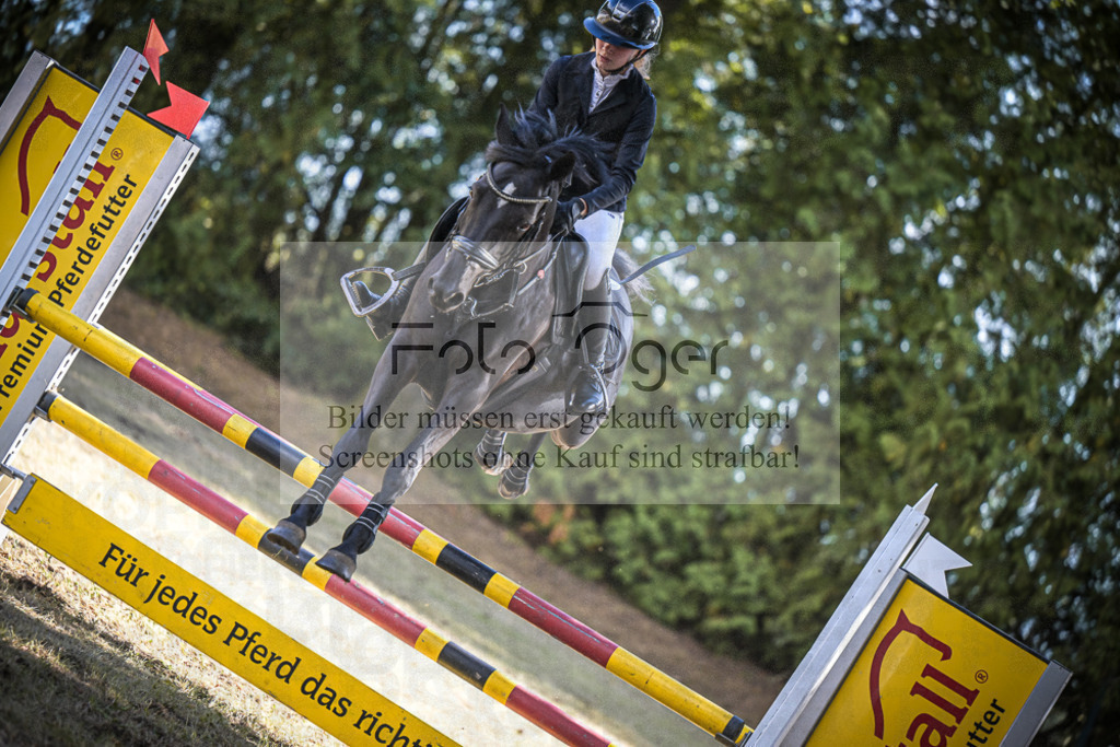 DOS_1403 | Entdecke hochwertige Reitturnierfotos von Foto Oger. Professionell, emotional und authentisch – jetzt Lieblingsmomente im Shop bestellen.Deutschlandweite Turnierfotografie. - Realisiert mit Pictrs.com