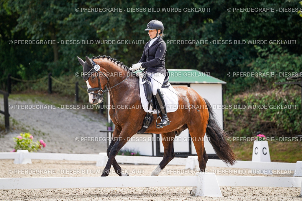 DSC00364 | Pferdegrafie