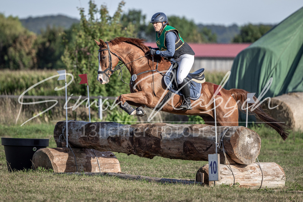 20250907-_3LI4484 | Tierfotografie Pferde, Hunde, Katzen, Haustiere.
Turnierfotografie Reitturniere, Reiten, Springreiten, Dressur in Hanau, dem Main-Kinzig-Kreis und dem Rhein-Main- Gebiet um Frankfurt