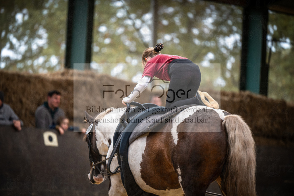 DOS_0150 | Entdecke hochwertige Reitturnierfotos von Foto Oger. Professionell, emotional und authentisch – jetzt Lieblingsmomente im Shop bestellen.Deutschlandweite Turnierfotografie. - Realisiert mit Pictrs.com