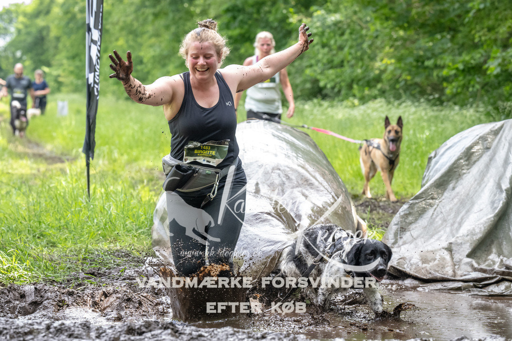 1249_ZZ93709 | kk-dogfotos