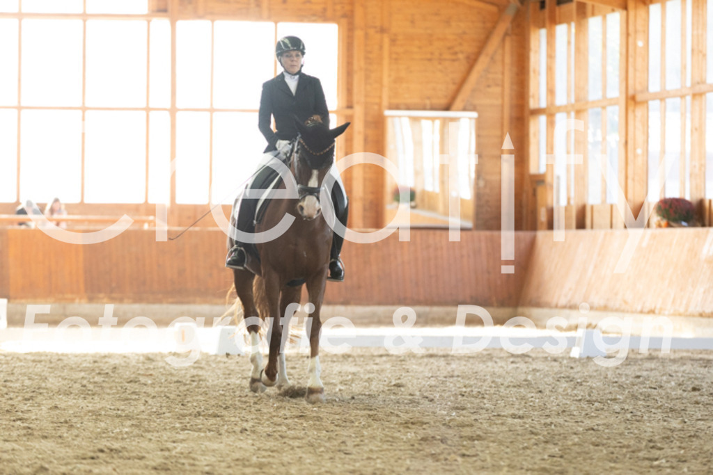 IMG_3522 | Creatify Fotografie