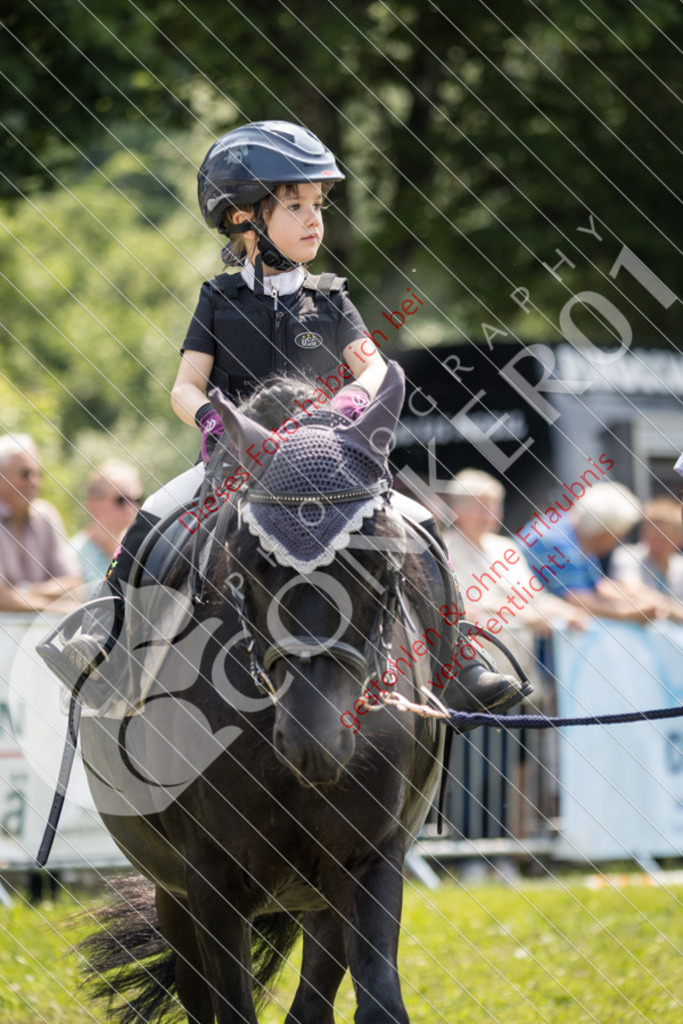 IMG_0273 | Sport-, Event- und Tierfotos in Profiqualität. Einfach auswählen, bestellen und herunterladen. Dein Moment – perfekt festgehalten.