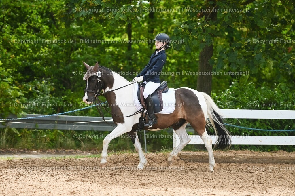 20230716_10-2_Reiter-WB Schritt - Trab - Galopp_0164 | equistock