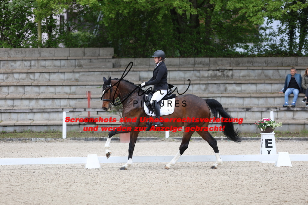 A40A4231 | lmwpictures - Realisiert mit Pictrs.com