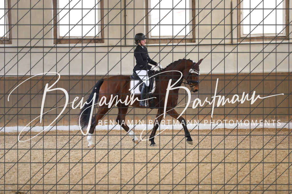 AZ2A0529 | Benjamin Bartmann Photomoments