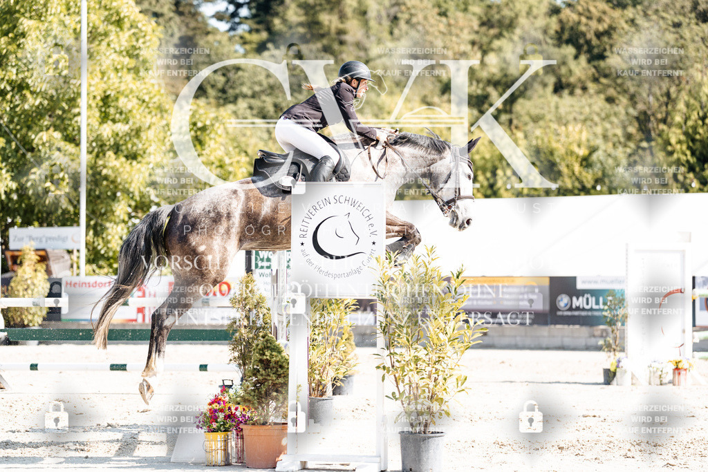 CK902590 | Turnierfotografie Pferdefotografie Trier Rheinland-Pfalz Pferdesport Reitsport Tierfotografie Sportfotografie Pferdevideo Pferdevideografie Equestrianvideography equestrianphotography  - Realisiert mit Pictrs.com