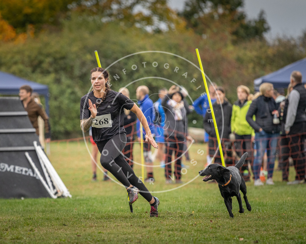 Pfotenfotografie_DV3A9960 | Hundefotografie, Tierfotograf, Pfotenfotografie, Fotoshooting Hund, Hunde Portrait, Hundesport, Hundeportraits, Heideshooting, Hunde, Sportfotograf, Hundefotograf, Turnierhundsport, THS,  - Realisiert mit Pictrs.com