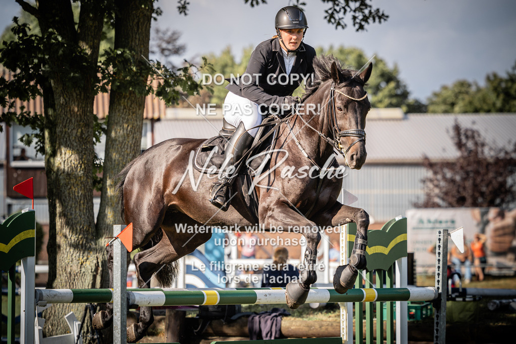 nelerasche_SprM_120Ede_16 | nelerasche