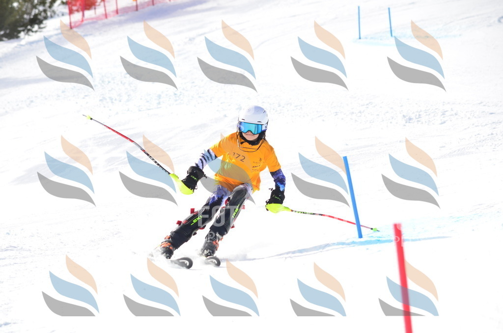 C7914 | holidayphoto