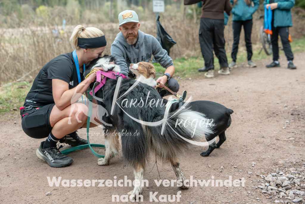 0856DZ6_1114 | kk-dogfotos