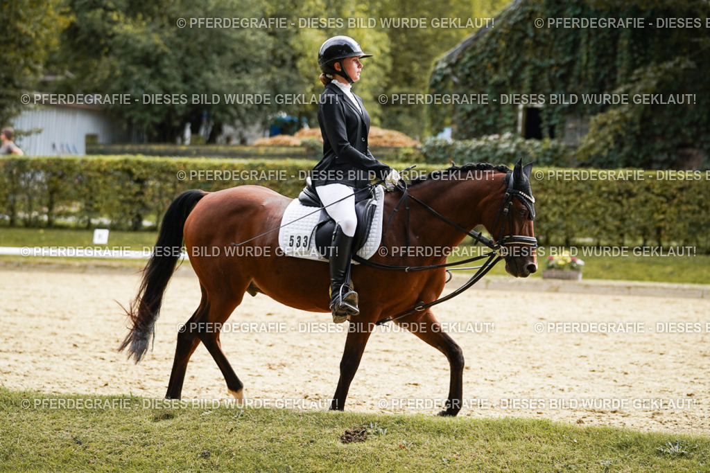 DSC00957 | Pferdegrafie