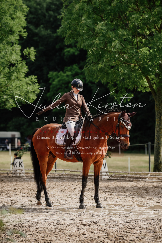 DSC_9496 | Pferde- und Turnierfotografie in Westsachsen. Pferdeportraits, Auftragszeichnungen und intuitive Kunst.