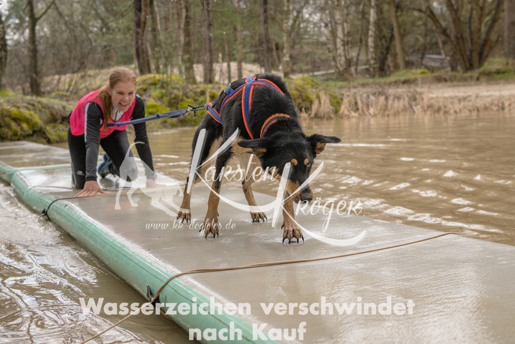 1312_ZZ94744 | kk-dogfotos